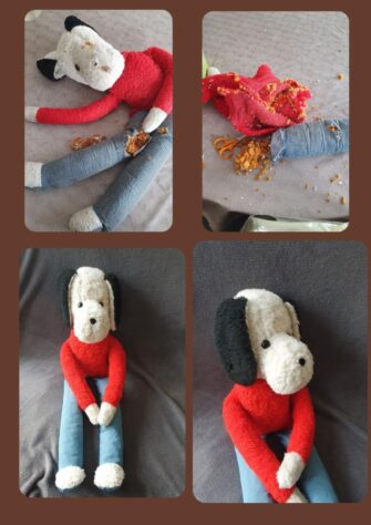 restauration peluche